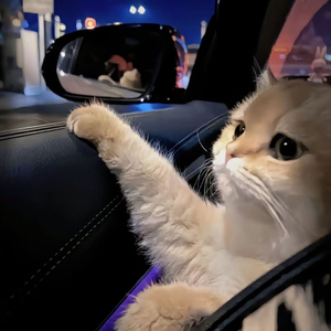 日本丰腴少妇色情片
